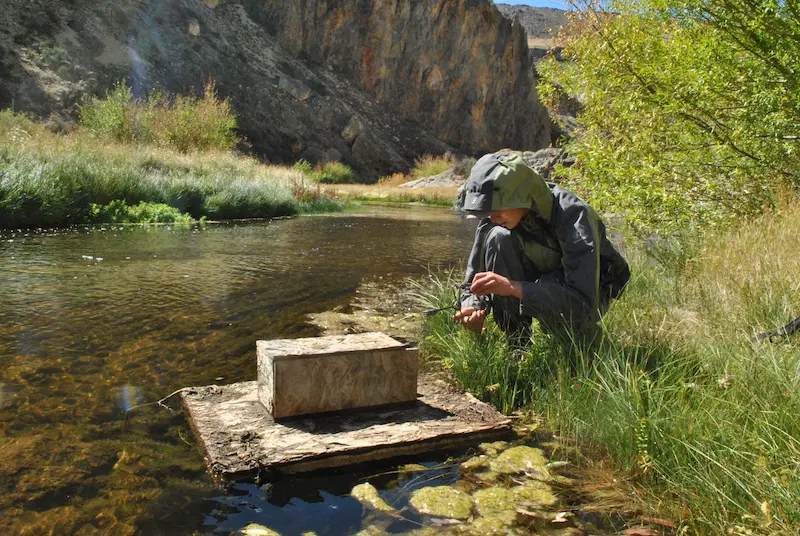 Invasive predator control program in Austral Patagonia for endangered ...