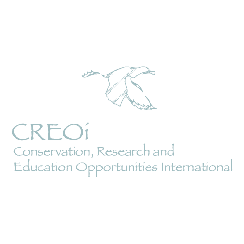 Logo Creoi