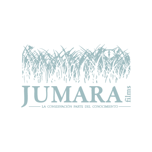 Logo Jumara