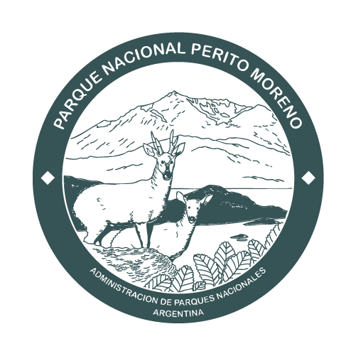 Logo PN perito