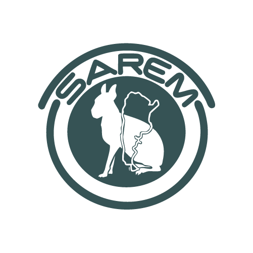 Logo SAREM