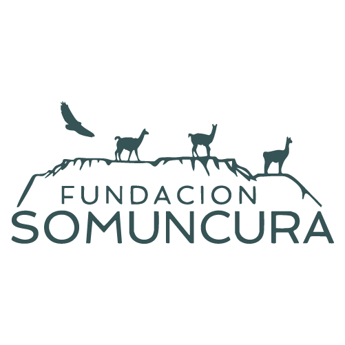 LogoHome Somuncura
