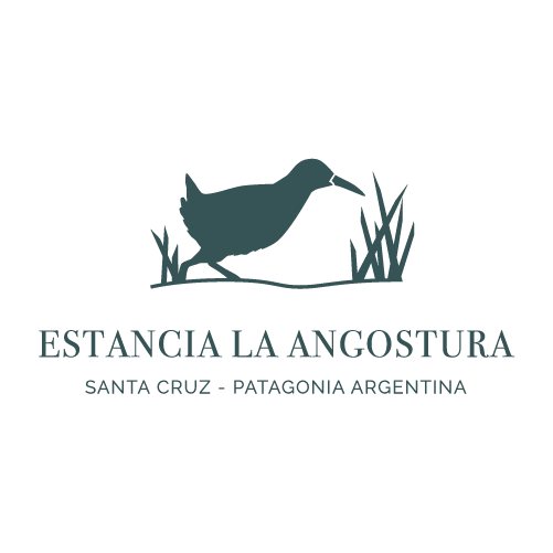 LogoHome angostura2025