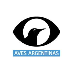 Recursos_link-CARO
