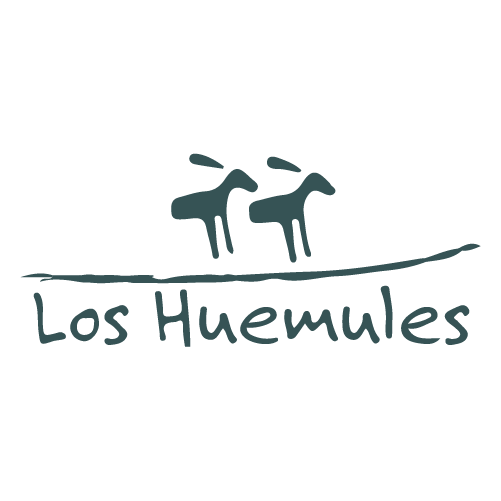 newLogoHome huemules