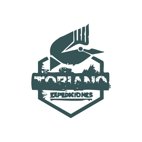 newLogoHome tobiano