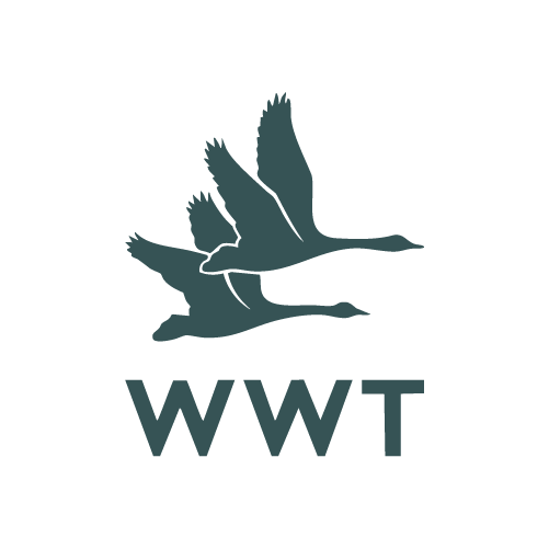 newLogoHome wwt