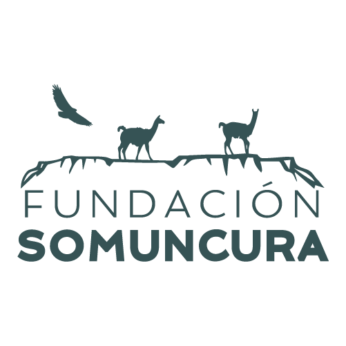 LogoHome Somuncura_NUEVA