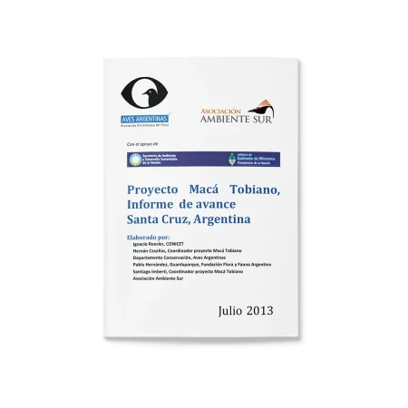 Informe 2013