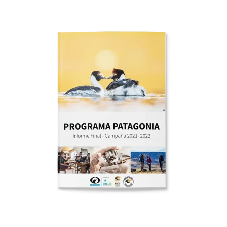 Informe 2022