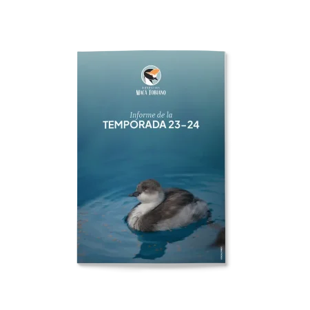Informe 2025