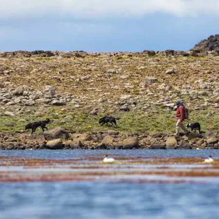 Medios 14 Gonzalo Pardo Amigos del hombre y protectores de la naturaleza- cómo trabajan los perros de búsqueda que colaboran con la conservación de especies