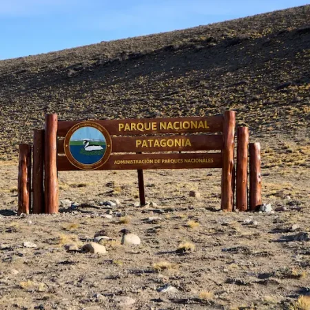 Fundación Macá Tobiano